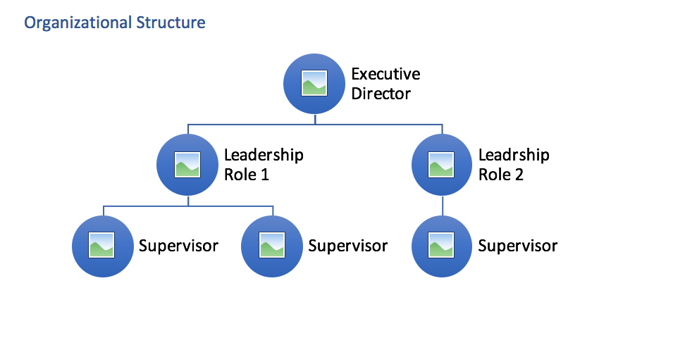 How to Write a Nonprofit Business Plan1